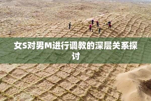 女S对男M进行调教的深层关系探讨