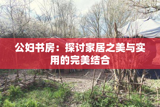 公妇书房：探讨家居之美与实用的完美结合