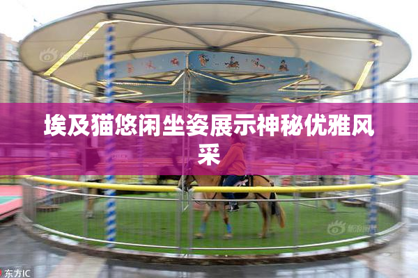 埃及猫悠闲坐姿展示神秘优雅风采