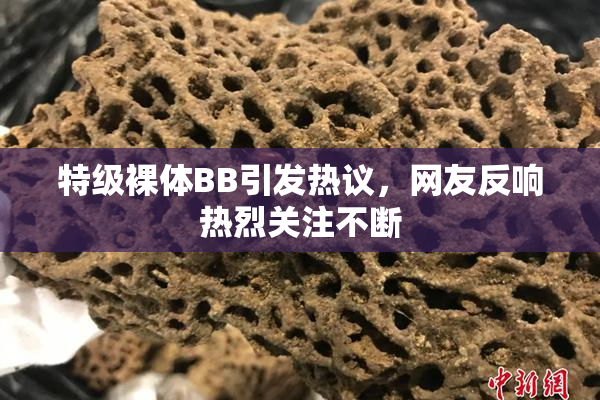 特级裸体BB引发热议，网友反响热烈关注不断