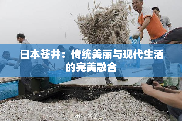 日本苍井：传统美丽与现代生活的完美融合