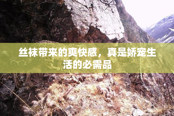 丝袜带来的爽快感，真是娇宠生活的必需品