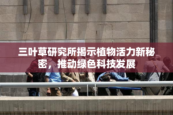 三叶草研究所揭示植物活力新秘密，推动绿色科技发展
