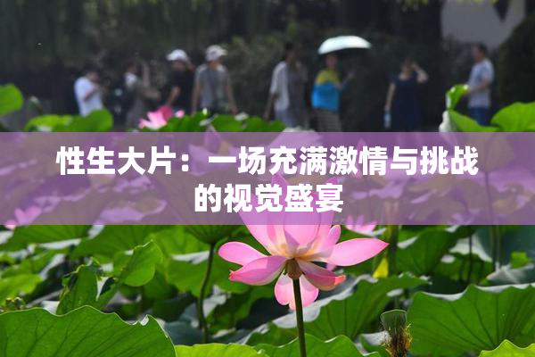 性生大片：一场充满激情与挑战的视觉盛宴