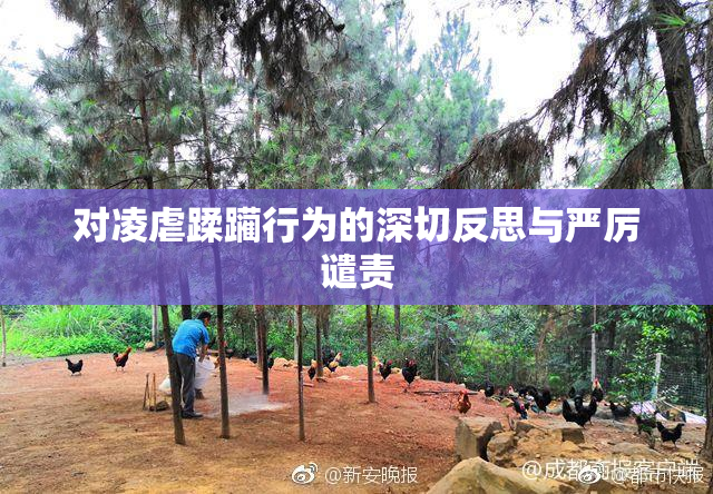 对凌虐蹂躏行为的深切反思与严厉谴责