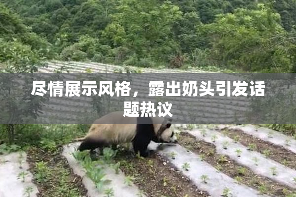 尽情展示风格，露出奶头引发话题热议
