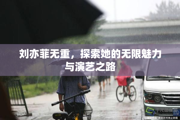 刘亦菲无重，探索她的无限魅力与演艺之路