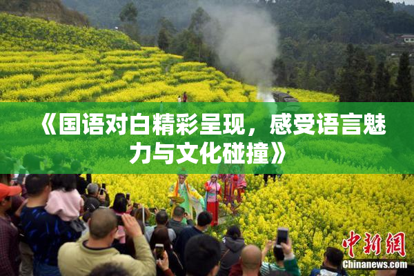 《国语对白精彩呈现，感受语言魅力与文化碰撞》