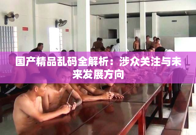 国产精品乱码全解析：涉众关注与未来发展方向