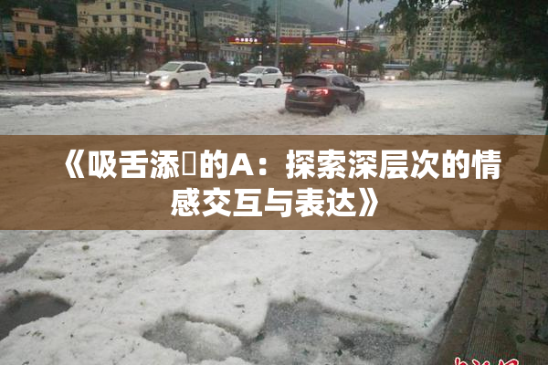 《吸舌添泬的A：探索深层次的情感交互与表达》