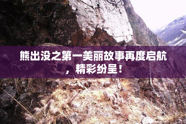 熊出没之第一美丽故事再度启航，精彩纷呈！