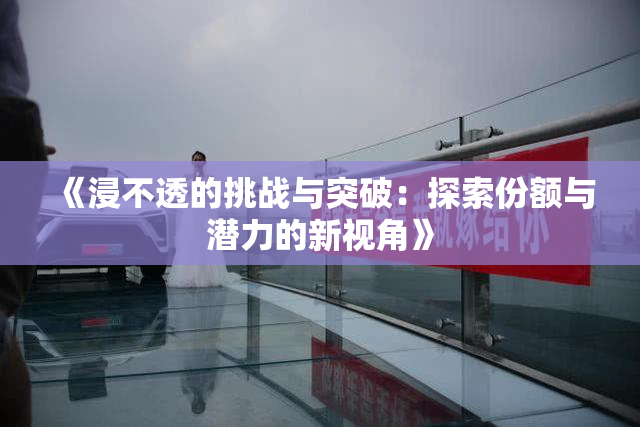 《浸不透的挑战与突破：探索份额与潜力的新视角》