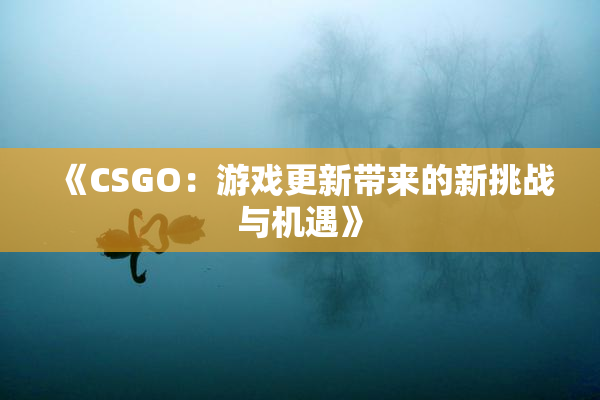 《CSGO：游戏更新带来的新挑战与机遇》