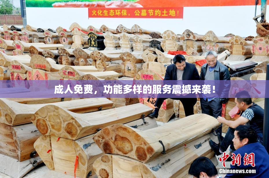 成人免费，功能多样的服务震撼来袭！