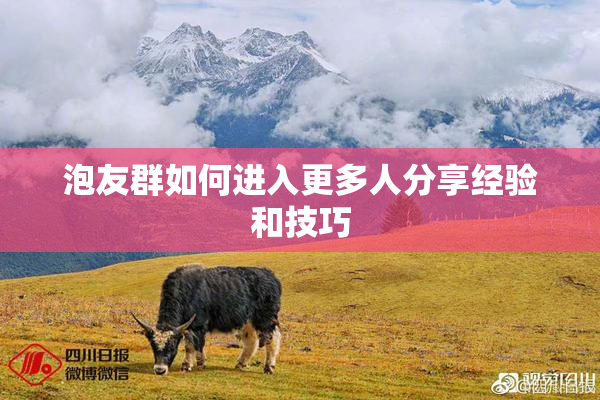 泡友群如何进入更多人分享经验和技巧