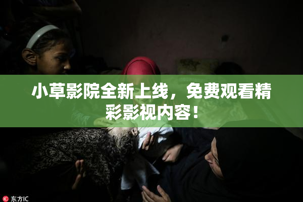 小草影院全新上线，免费观看精彩影视内容！