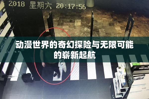 动漫世界的奇幻探险与无限可能的崭新起航