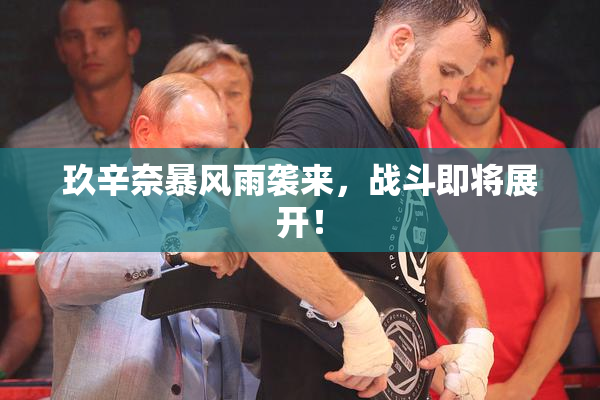 玖辛奈暴风雨袭来，战斗即将展开！
