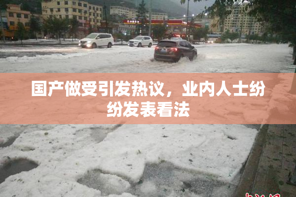 国产做受引发热议，业内人士纷纷发表看法