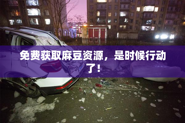 免费获取麻豆资源，是时候行动了！