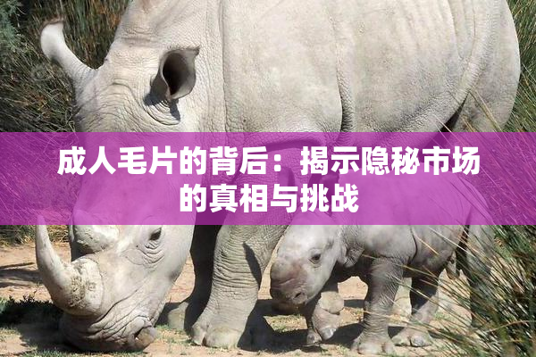 成人毛片的背后：揭示隐秘市场的真相与挑战