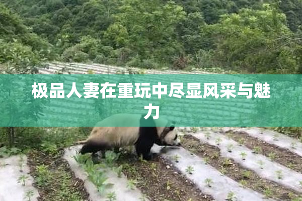 极品人妻在重玩中尽显风采与魅力