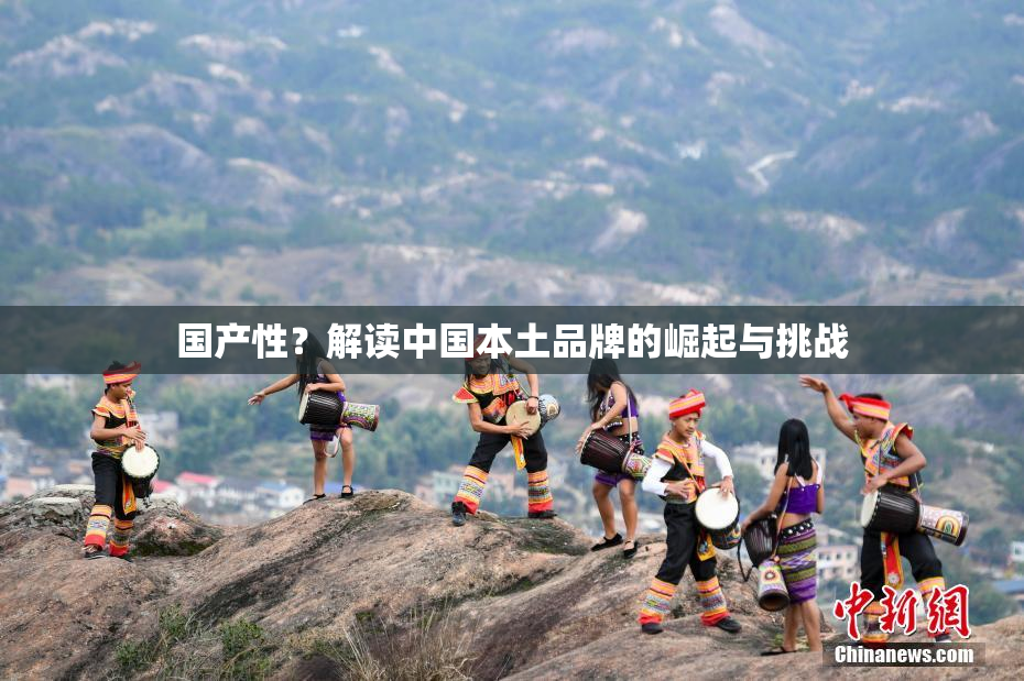 国产性？解读中国本土品牌的崛起与挑战