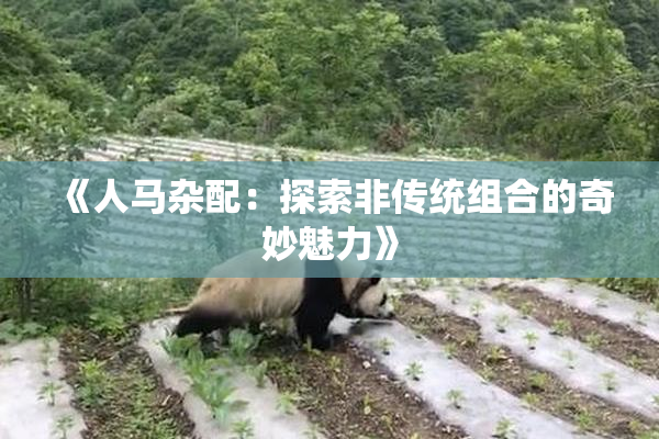 《人马杂配：探索非传统组合的奇妙魅力》