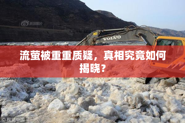 流萤被重重质疑，真相究竟如何揭晓？