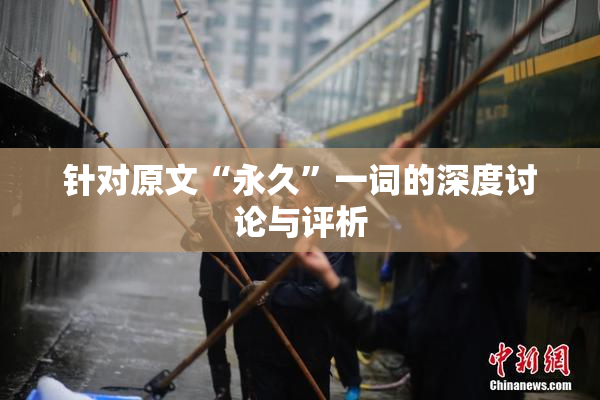 针对原文“永久”一词的深度讨论与评析