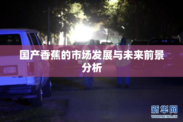 国产香蕉的市场发展与未来前景分析