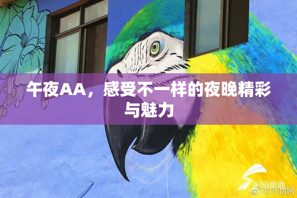 午夜AA，感受不一样的夜晚精彩与魅力
