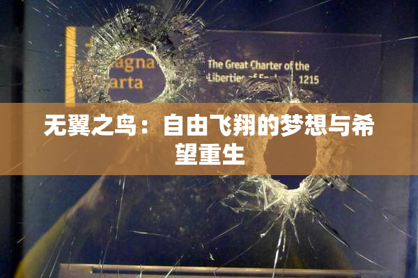 无翼之鸟：自由飞翔的梦想与希望重生
