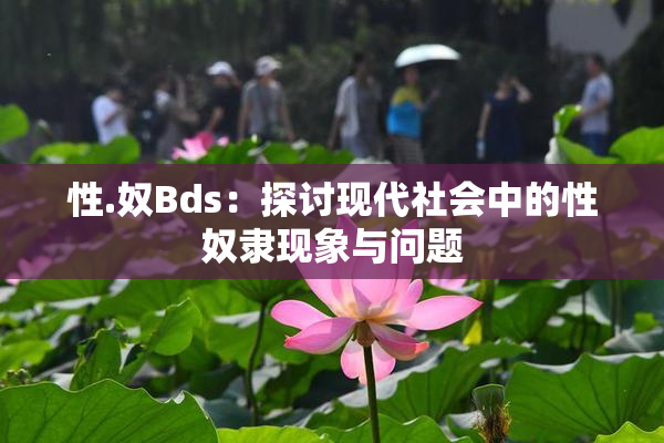 性.奴Bds：探讨现代社会中的性奴隶现象与问题