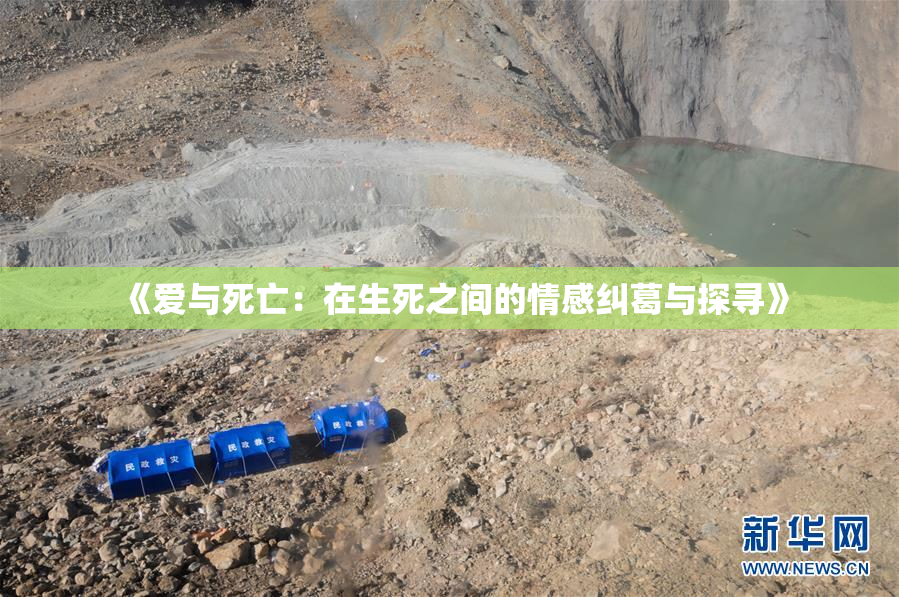 《爱与死亡：在生死之间的情感纠葛与探寻》
