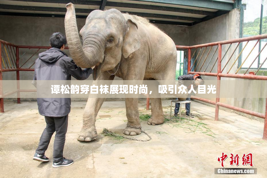 谭松韵穿白袜展现时尚，吸引众人目光