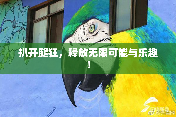 扒开腿狂，释放无限可能与乐趣！