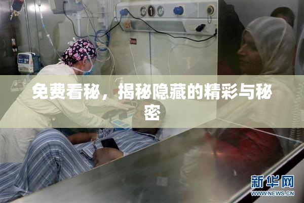 免费看秘，揭秘隐藏的精彩与秘密