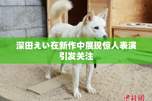 深田えい在新作中展现惊人表演引发关注