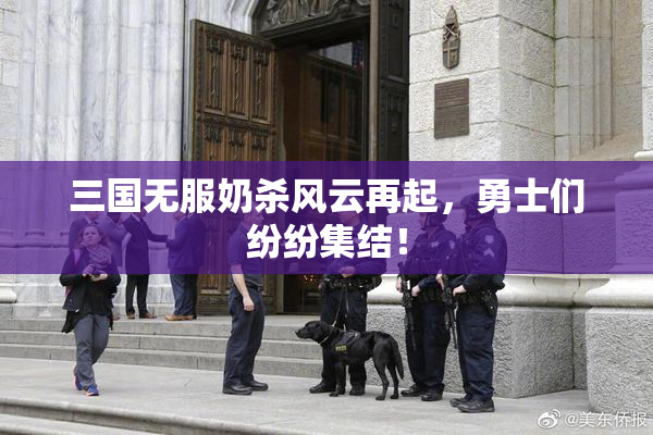 三国无服奶杀风云再起，勇士们纷纷集结！