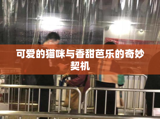 可爱的猫咪与香甜芭乐的奇妙契机