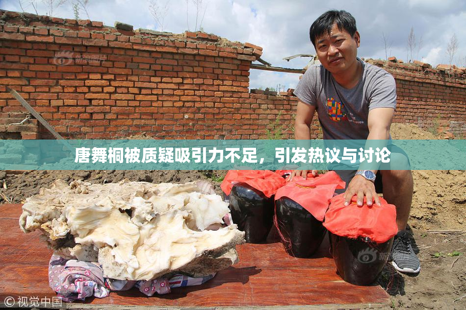 唐舞桐被质疑吸引力不足，引发热议与讨论