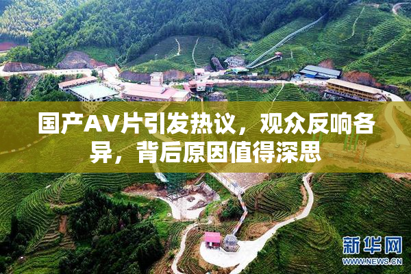 国产AV片引发热议，观众反响各异，背后原因值得深思