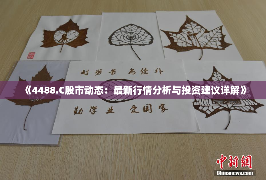 《4488.C股市动态：最新行情分析与投资建议详解》