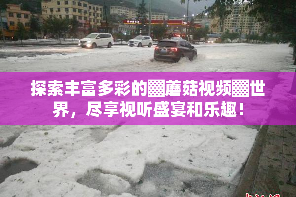 探索丰富多彩的▓蘑菇视频▓世界，尽享视听盛宴和乐趣！