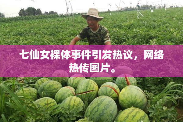 七仙女裸体事件引发热议，网络热传图片。
