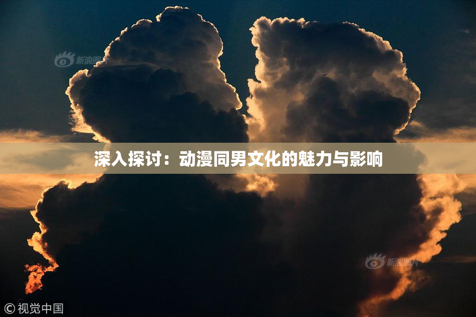 深入探讨：动漫同男文化的魅力与影响