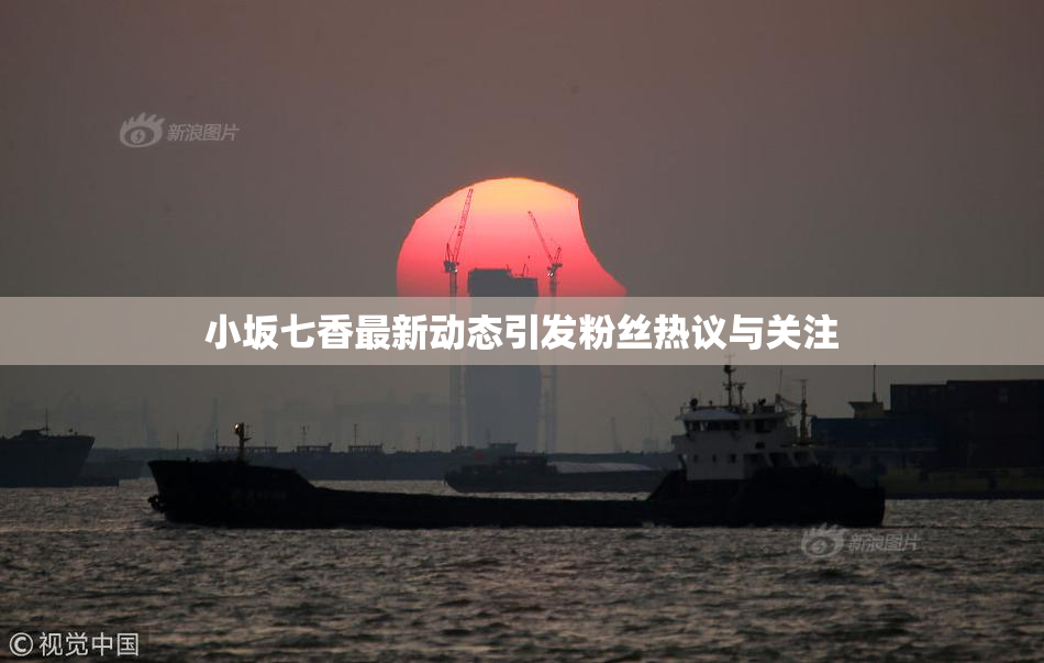 小坂七香最新动态引发粉丝热议与关注