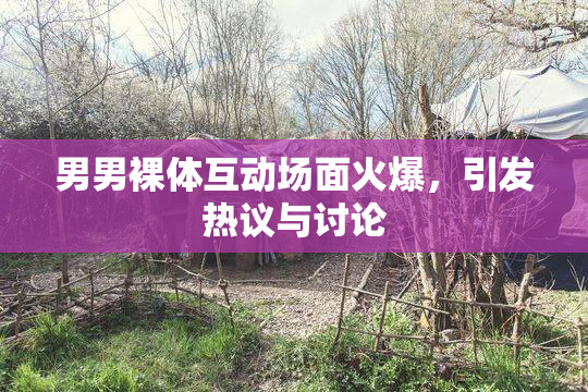 男男裸体互动场面火爆，引发热议与讨论