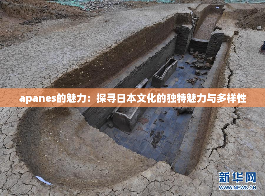 apanes的魅力：探寻日本文化的独特魅力与多样性